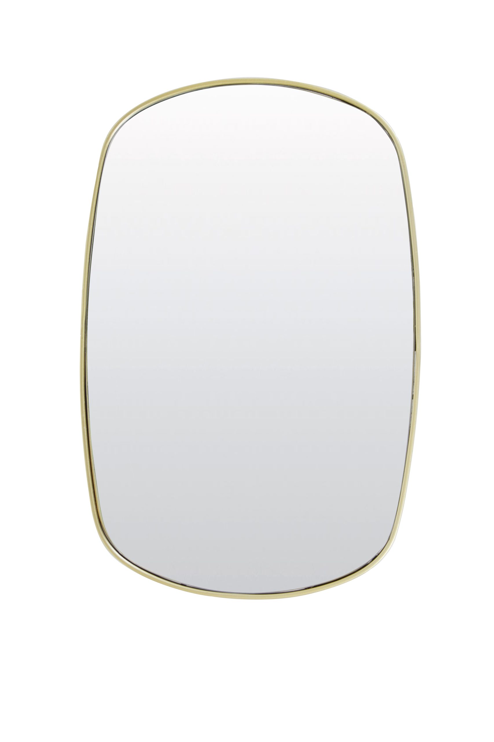 Spiegel 36x1,5x55 cm BRALO helder glas+goud