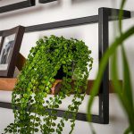 Wandplank edge 100cm / Massief acacia naturel