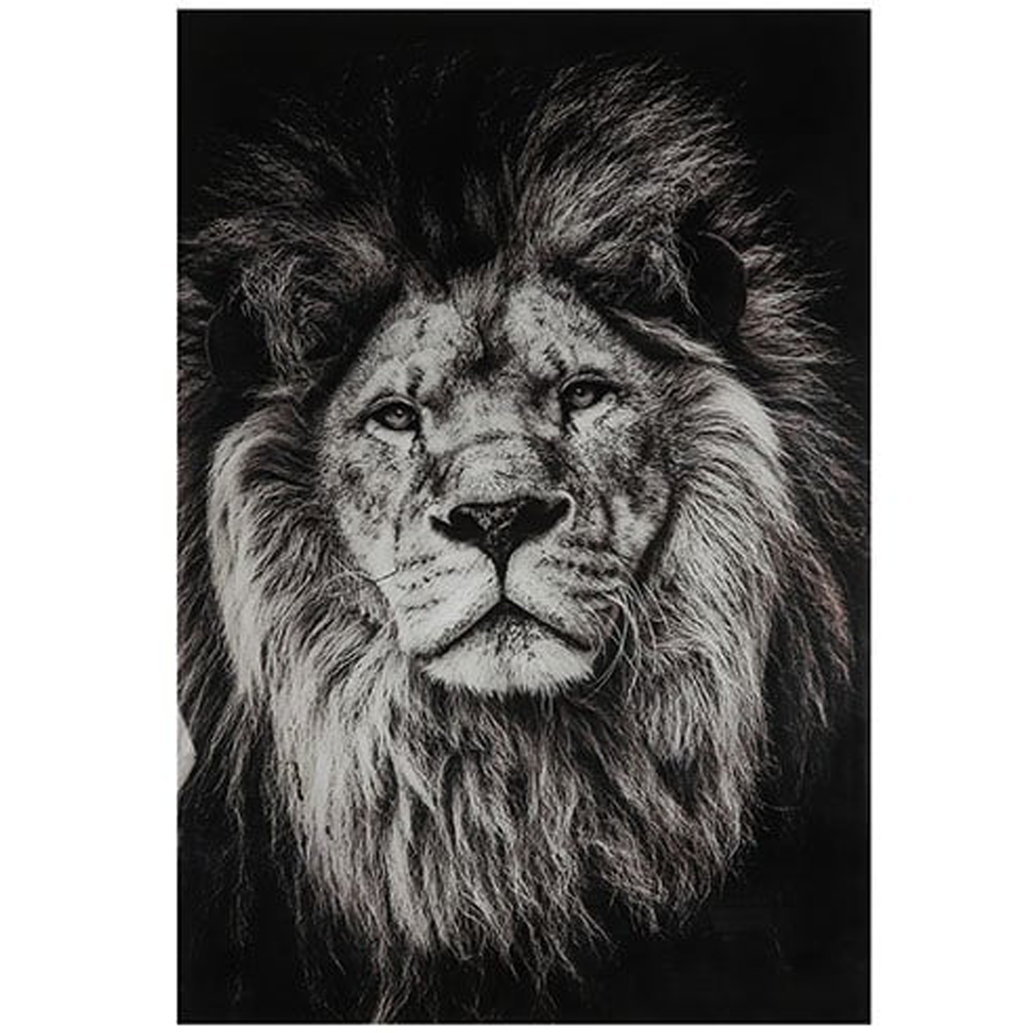 Schilderij leeuw 120x80 cm