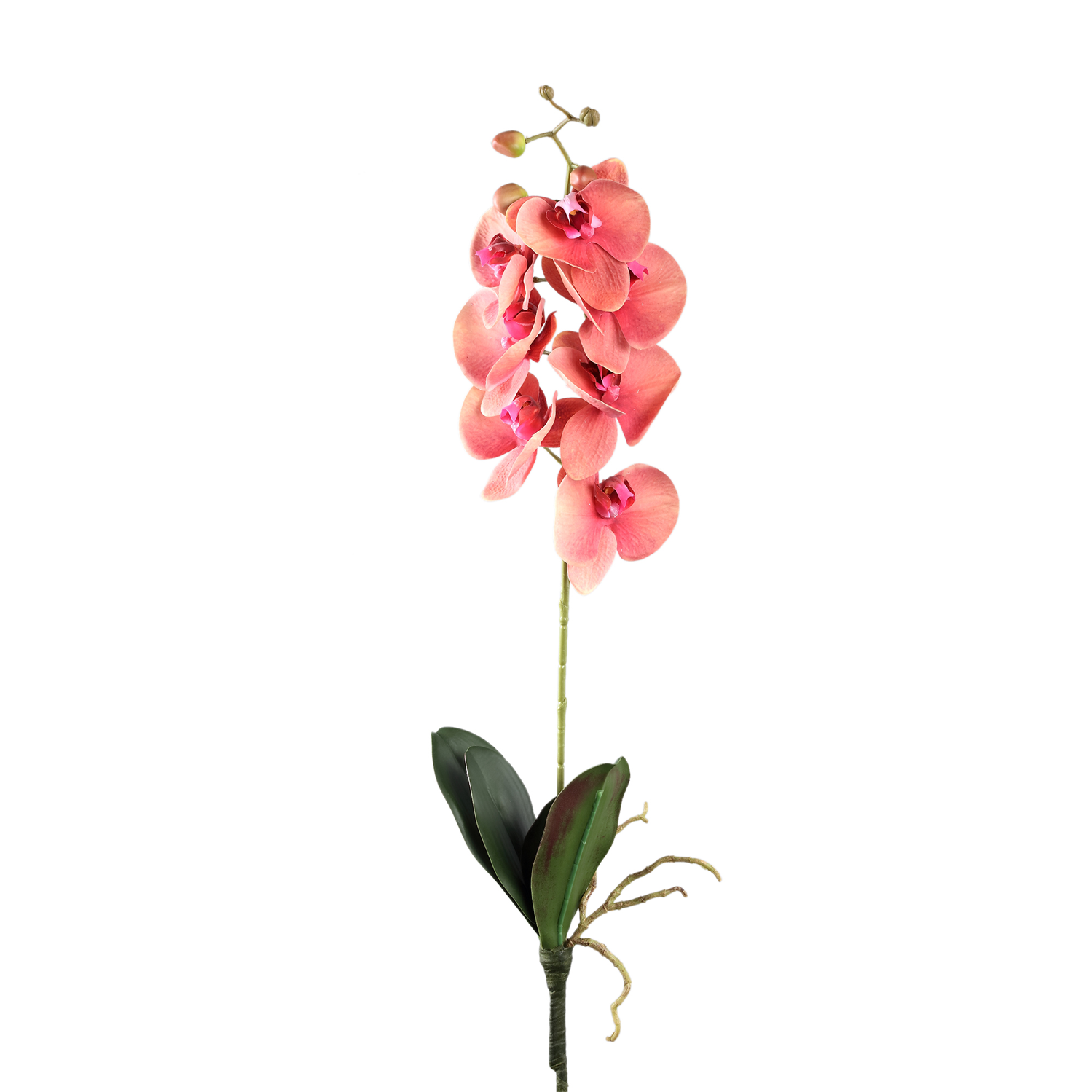 Gardenflower Orchidee Roze