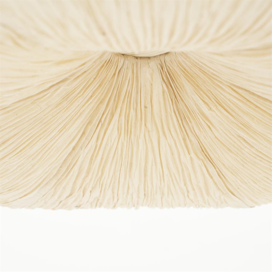 Pendant lamp Lokta 2