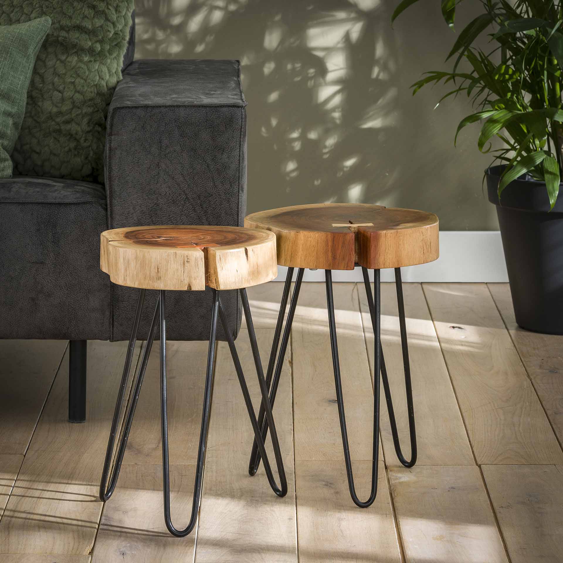 Bijzettafel stam in 6cm dik massief acacia