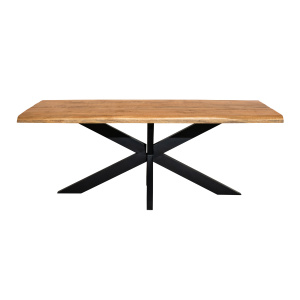 Boomstamtafel Denver | 300 cm