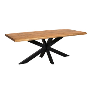 Boomstamtafel Denver | 300 cm